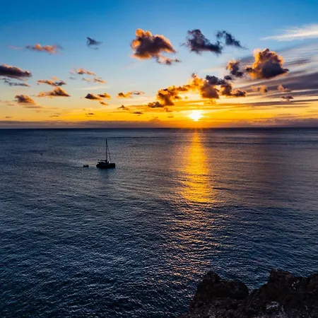 Oasis Noalys * Sardina